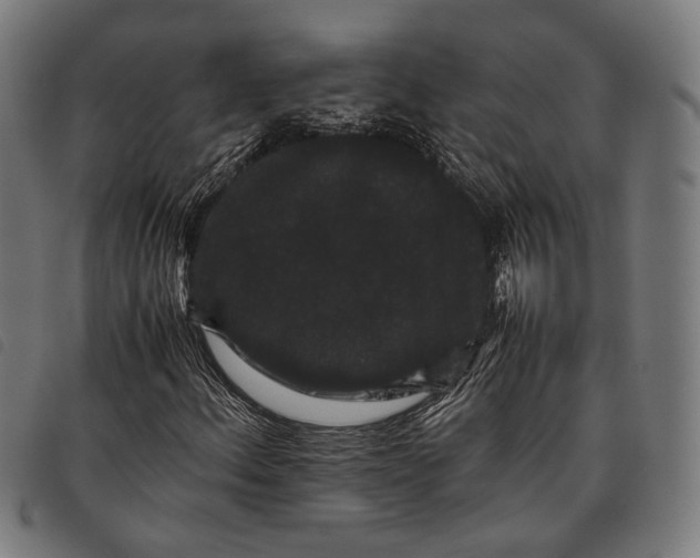 X0000097821156200804041352