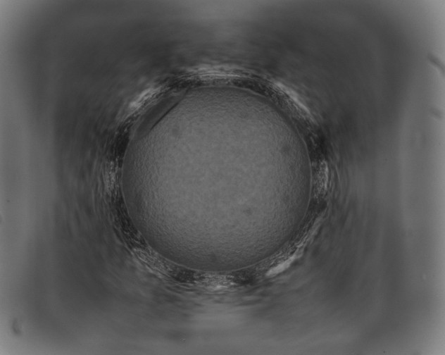 X0000097821157200804041352