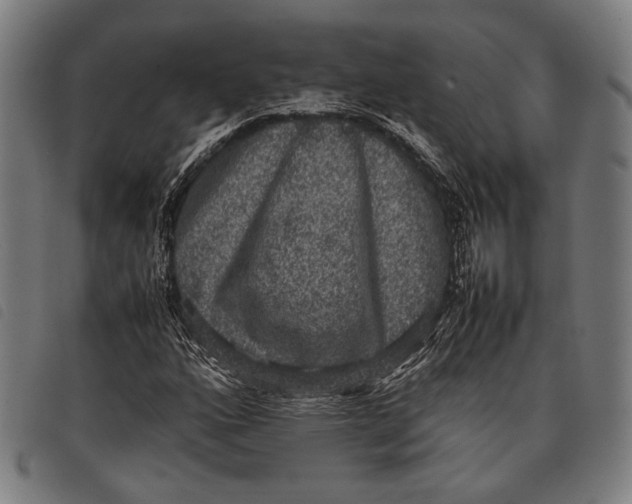 X0000097821160200804041352