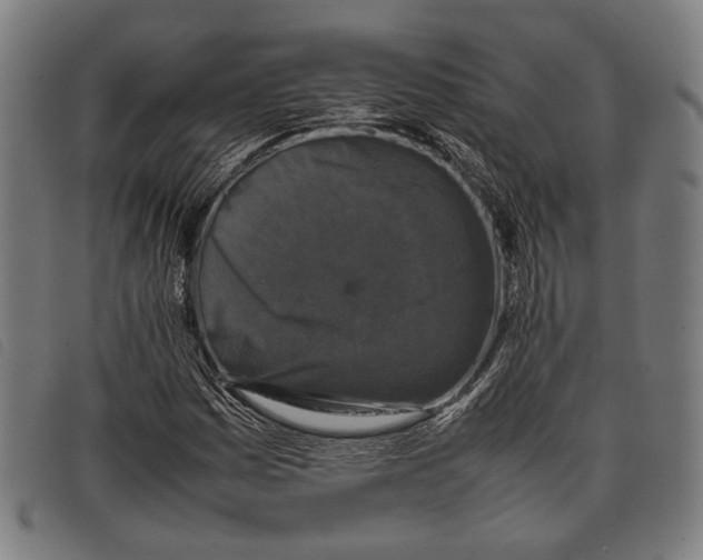 X0000097821161200804041352