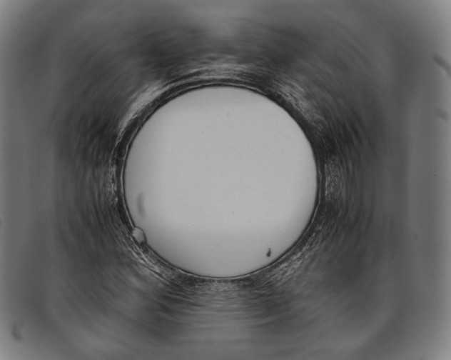 X0000097821164200804041352