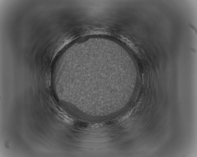 X0000097821165200804041352