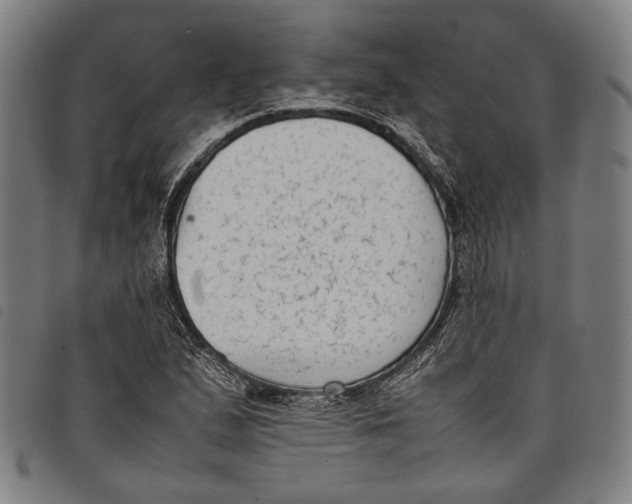 X0000097821167200804041352