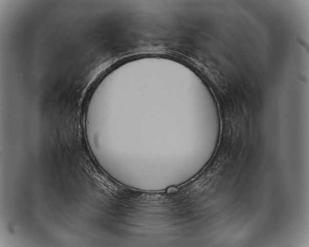 X0000097821168200804041352