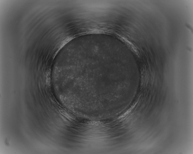 X0000097821170200804041352