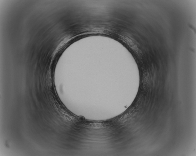 X0000097821172200804041352