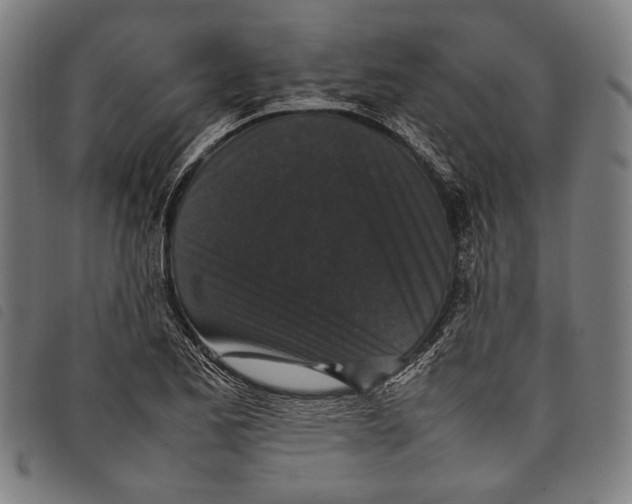 X0000097821173200804041352