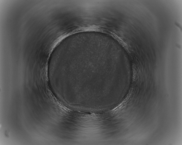 X0000097821174200804041352