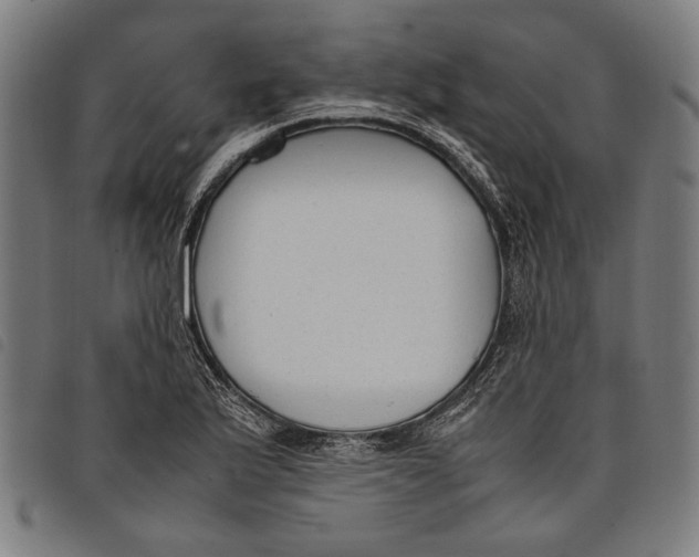 X0000097821175200804041352