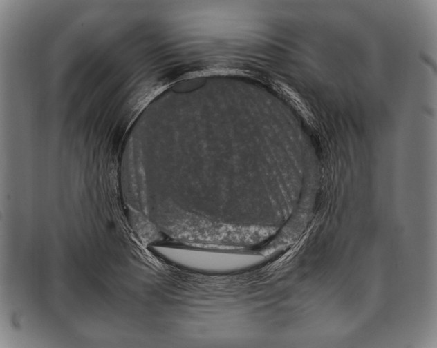 X0000097821177200804041352