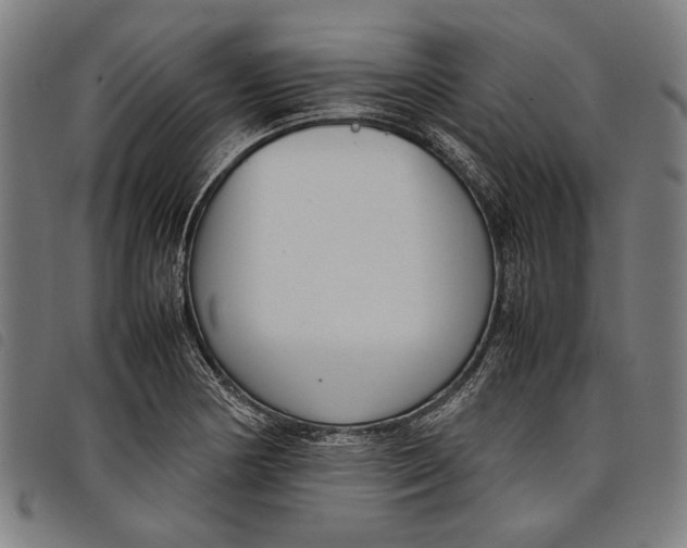 X0000097821178200804041352