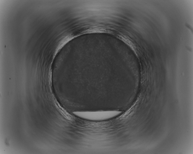 X0000097821179200804041352