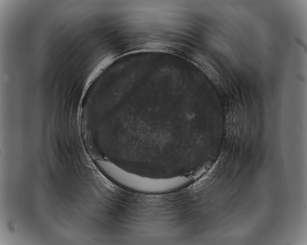 X0000097821180200804041352