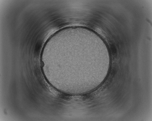 X0000097821181200804041352