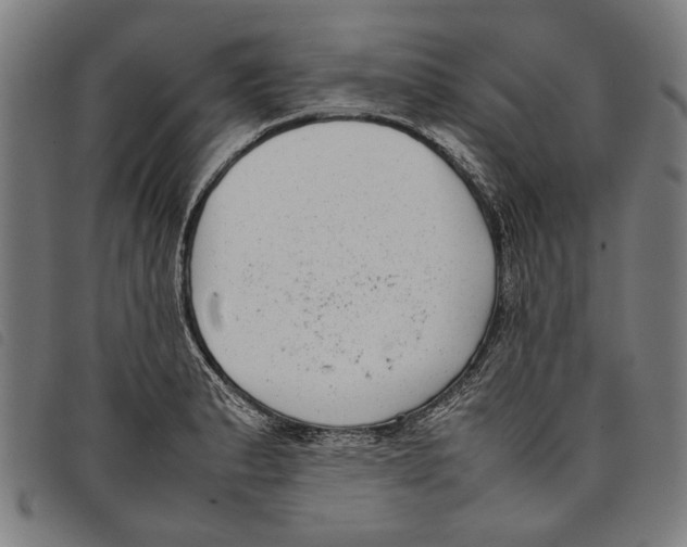 X0000097821183200804041352