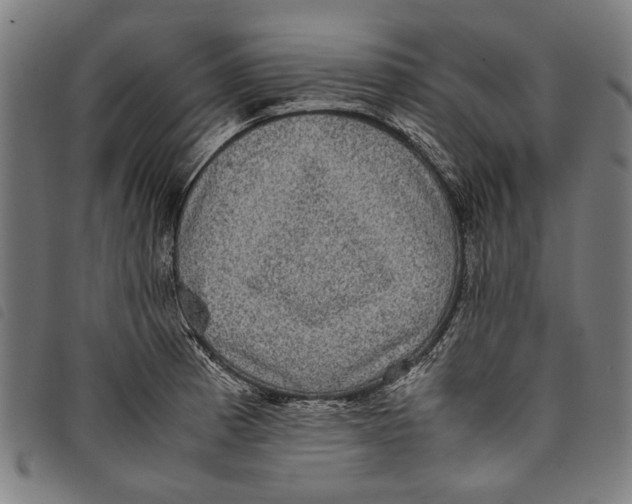 X0000097821185200804041352