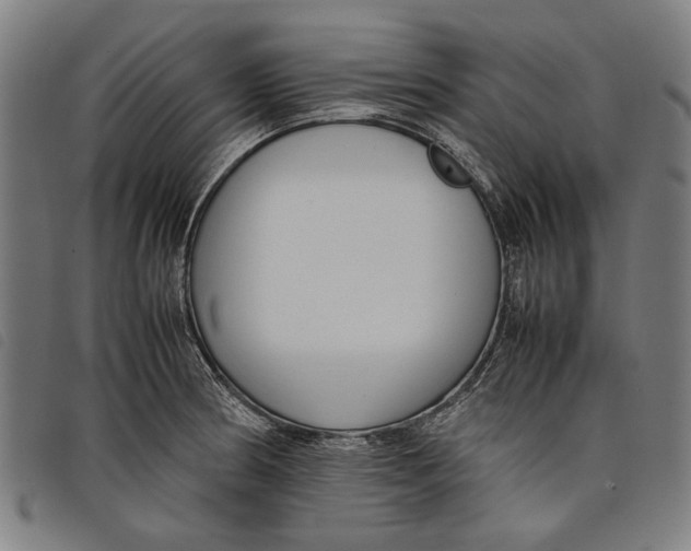 X0000097821186200804041352