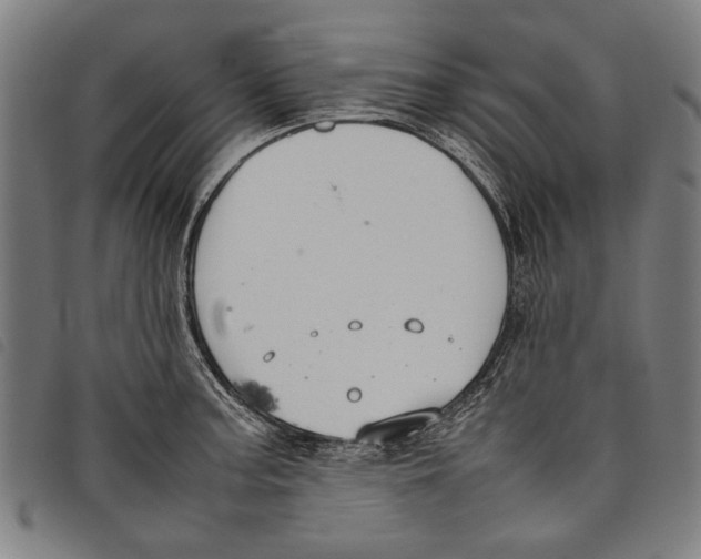 X0000097821187200804041352