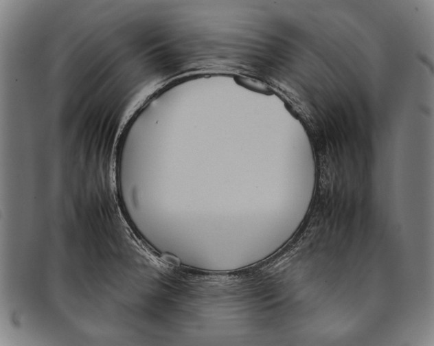 X0000097821188200804041352