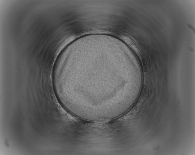 X0000097821189200804041352