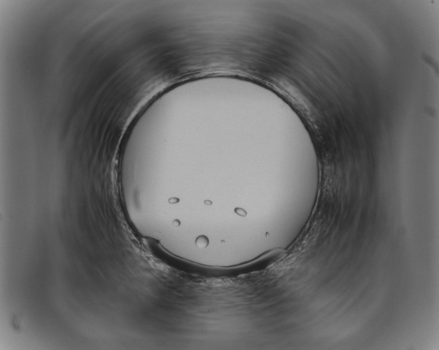 X0000097821190200804041352