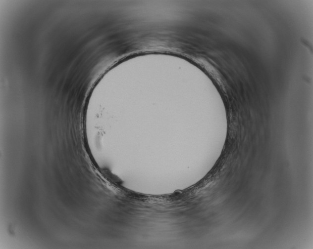 X0000097821191200804041352