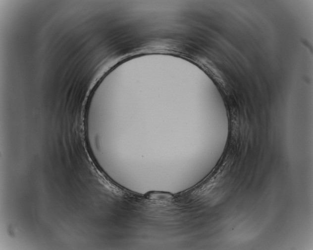 X0000097821192200804041352