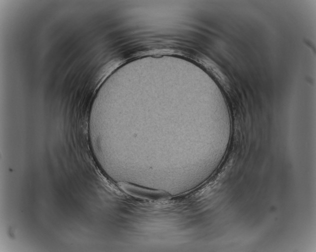 X0000097821193200804041352