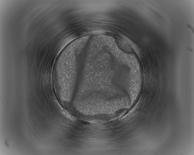 X0000097821194200804041351