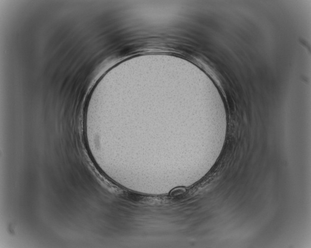 X0000097821195200804041351