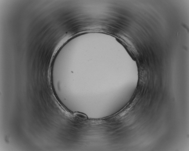 X0000097821196200804041351