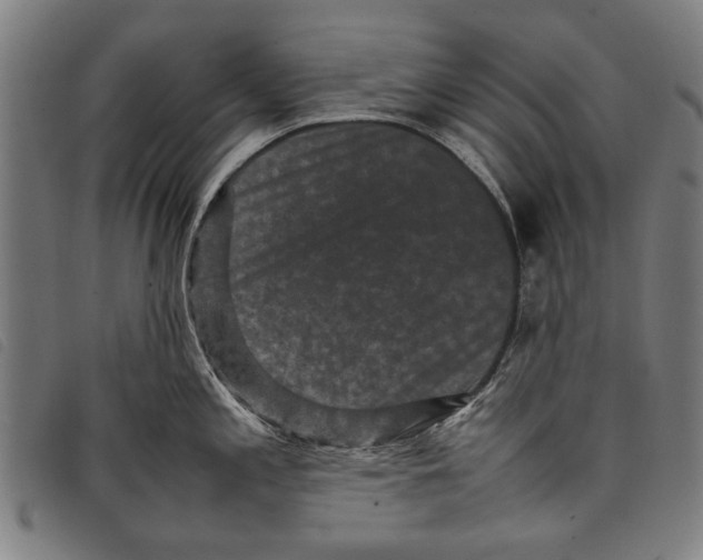 X0000097821197200804041351