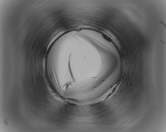 X0000097821198200804041351