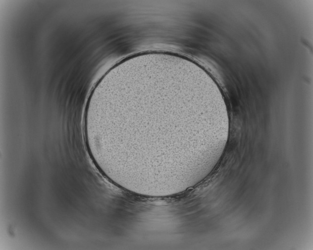 X0000097821199200804041351