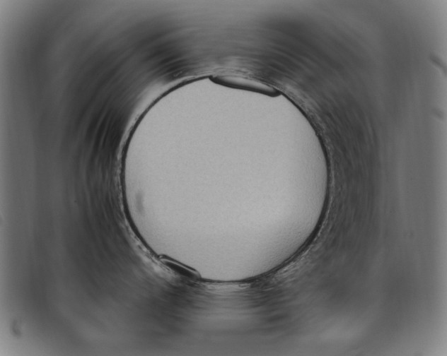 X0000097821200200804041351