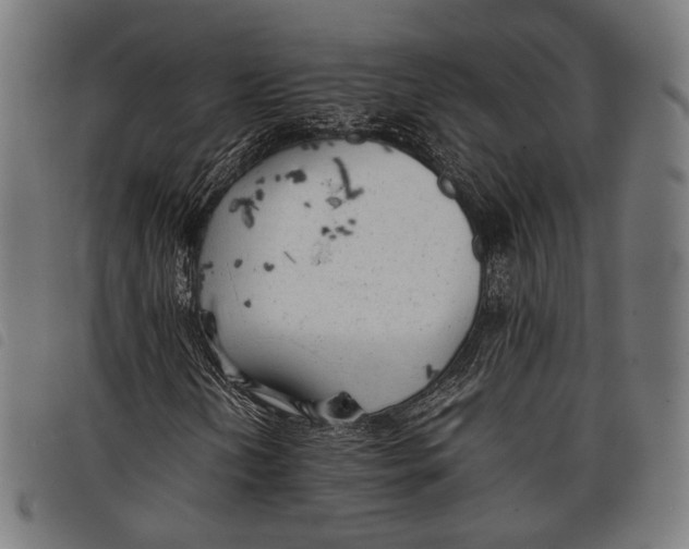 X0000097821202200804041351