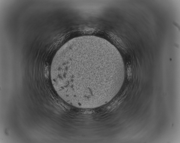 X0000097821204200804041351