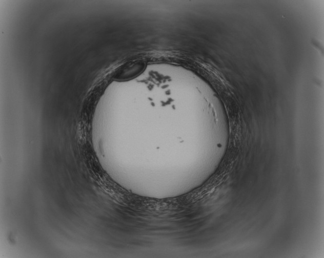 X0000097821207200804041351