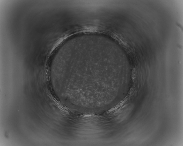 X0000097821208200804041351