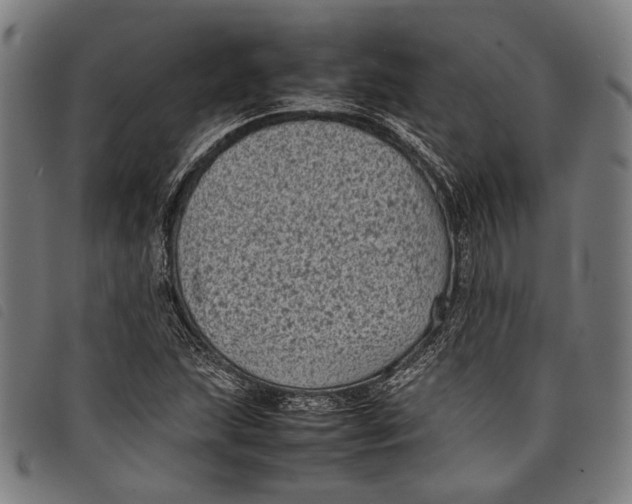 X0000097821215200804041351