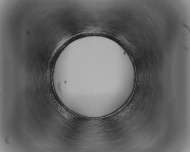 X0000097821216200804041351