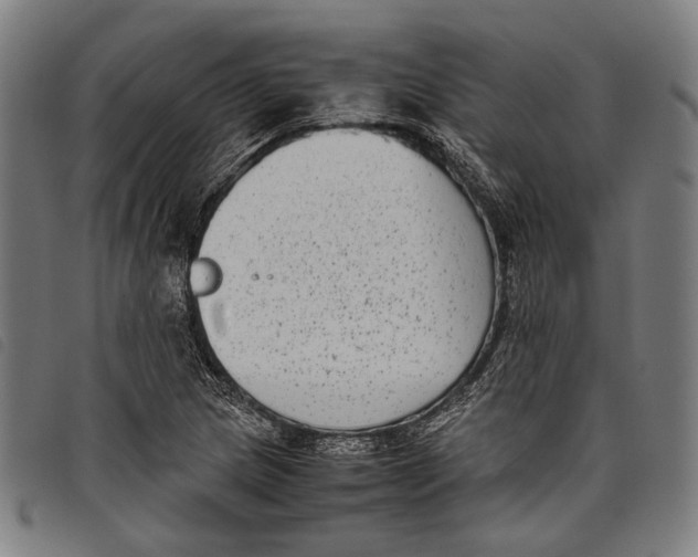 X0000097821217200804041351