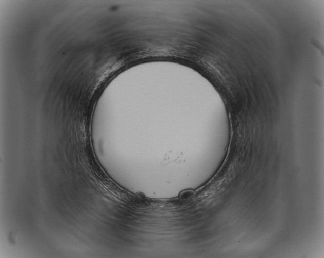 X0000097821218200804041351