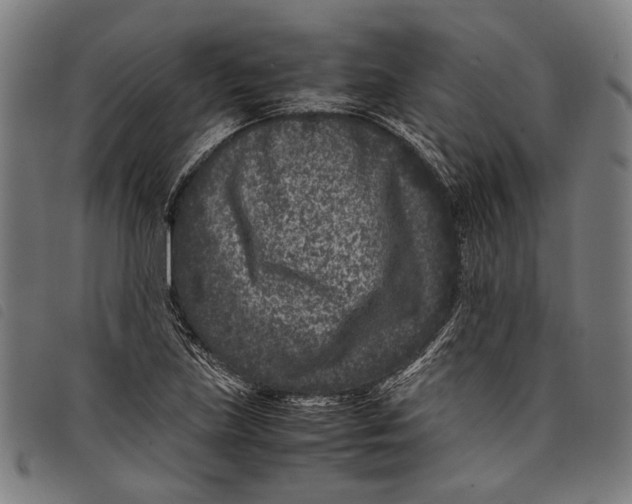 X0000097821219200804041351