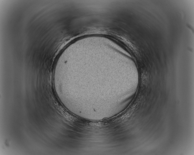 X0000097821220200804041351