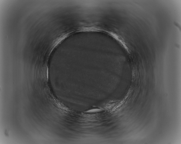 X0000097821221200804041351