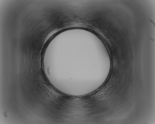 X0000097821222200804041351