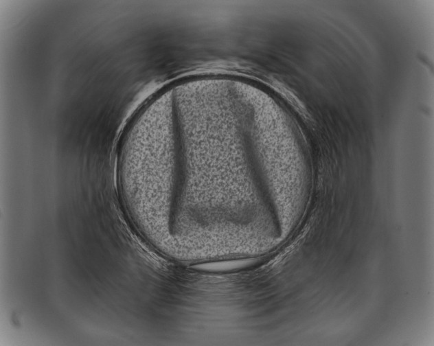 X0000097821224200804041351