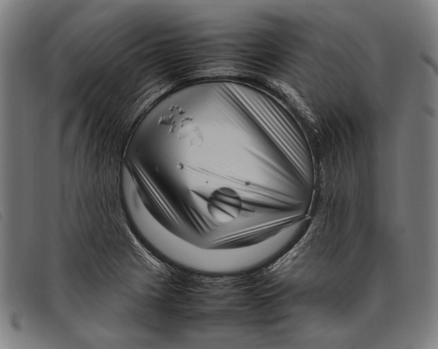 X0000097821225200804041351