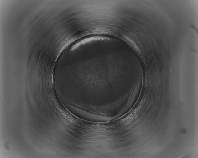 X0000097821226200804041351